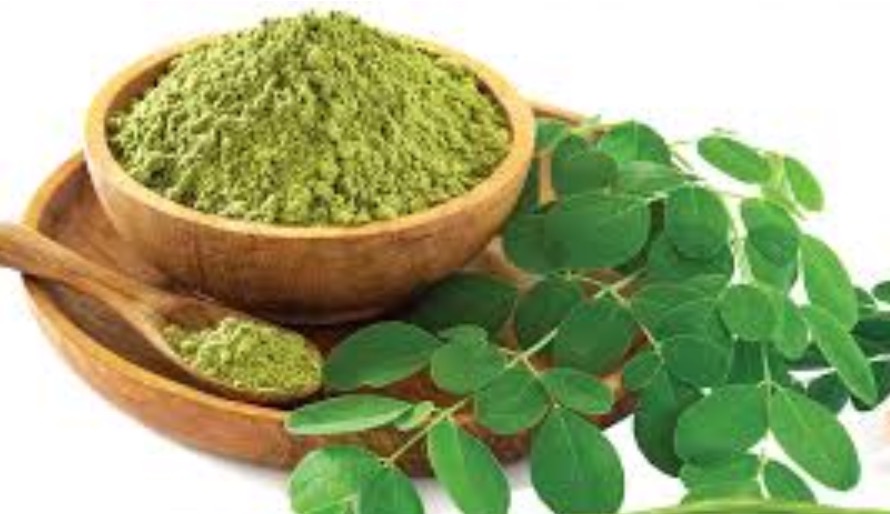 Moringa Oleifera